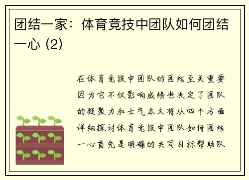 团结一家：体育竞技中团队如何团结一心 (2)